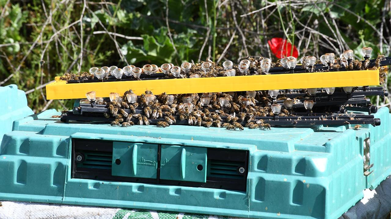 Başkan Akın’ın desteği arıcıları sevindirdi