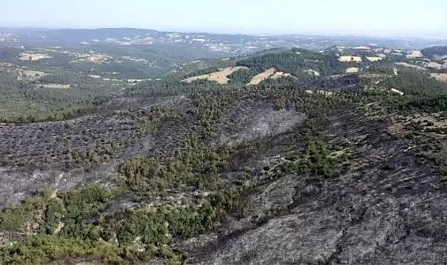 Balıkesir'deki yangın havadan işte böyle görüntülendi