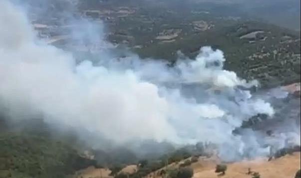 Kepsut’ta Alev Alarmı: Tarla Yangını Ormana Sıçradı!