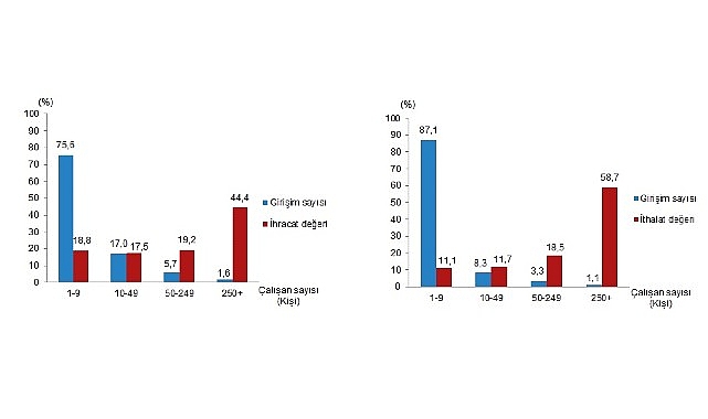 2024 Dış Ticaretin Büyük Ölçekli Girişimler Üzerindeki Yansıması: İhracat ve İthalatta Yapı ve Dağılım