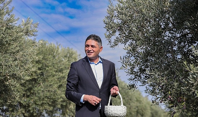 Aliağa Zeytin Hasat Şenliği 4. Çıkış: Geleneksel Zeytinin Bereketi ve Eğitim Dolu Anlar