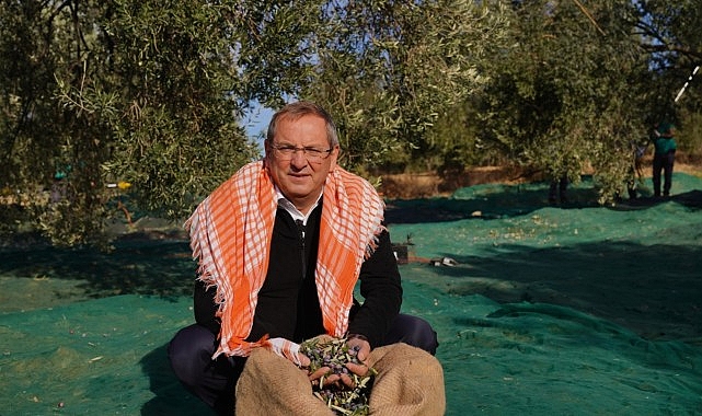 Ayvalık Uluslararası Zeytin Hasat ve Turizm Festivali 20. Kez Kapılarını Açıyor: Sektörün nabzı Panellerle Yükseliyor