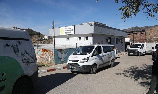 Bayraklı'da Orman Yangını Tatbikatı: Can Dostlarımız İçin Hızlı Tahliye ve Koordinasyon