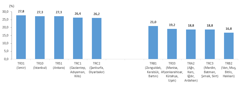 Hanehalkı Tüketim Harcamaları: Türkiye Bölgesel Dağılımları ve Türlere Göre Dağılım Analizi (İBBS 1 ve 2. Düzeyler, 2024)