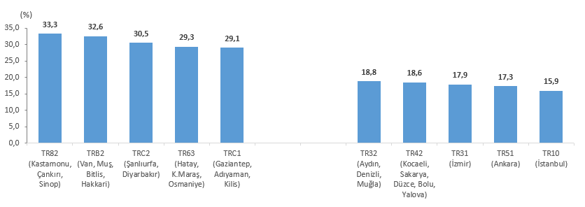 Hanehalkı Tüketim Harcamaları: Türkiye Bölgesel Dağılımları ve Türlere Göre Dağılım Analizi (İBBS 1 ve 2. Düzeyler, 2024)