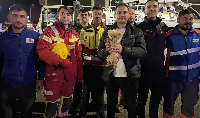 Kanalizasyon Borusundaki Küçük Köpek İçin 6 Saatlik Tahliye Operasyonu