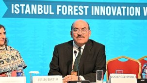 İstanbul Orman İnovasyon Haftası: Sürdürülebilir Ormancılığın Geleceği İçin Uluslararası İş Birlikleri