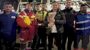 Kanalizasyon Borusundaki Küçük Köpek İçin 6 Saatlik Tahliye Operasyonu