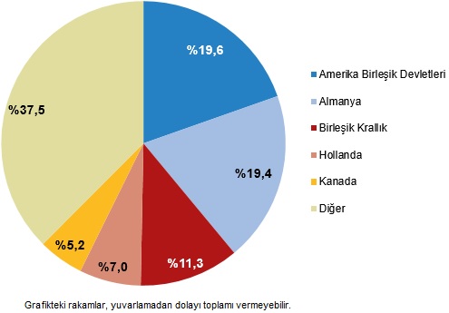 Yükseköğretim Mezunlarının Beyin Göçü: 2024 Verileri ve Ülke Tercihlerine Göre İnceleme