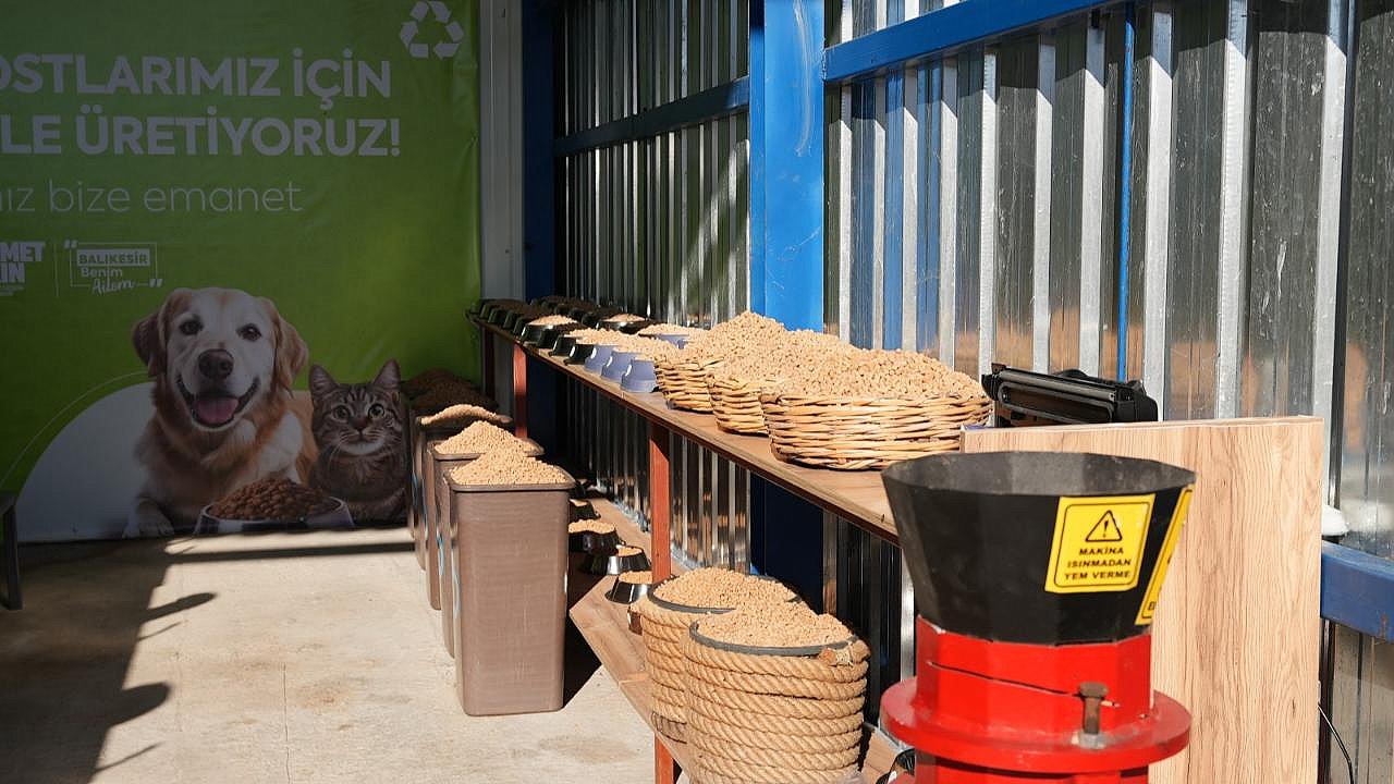 Büyükşehir, can dostların mamasını kendi üretiyor