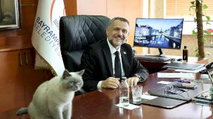 Bayrampaşa Belediye Başkan Vekili İbrahim Akın’ın Kedi Sahiplendirme Hareketi ve Toplumsal Mesajlar