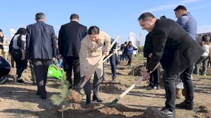 Kahramankazan'da Milli Ağaçlandırma Günü Fidan Desteğiyle Başladı