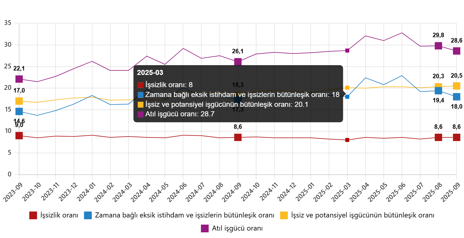 Türkiye İşgücü Göstergeleri: Eylül 2025 Mevsimsel ve Takvim Etkileri Dikkat Çekiyor