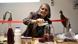 Antalya'da Pancar Kvass Atölyesi: Fermente Gıdaların Sağlık Desteği Üzerine Derinlemesine İçgörüler