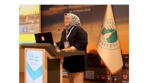 Dijital Çağda Gönüllülük: Gençlik, Toplumsal Dayanışma ve Kriz Dönemlerinde Dönüşüm