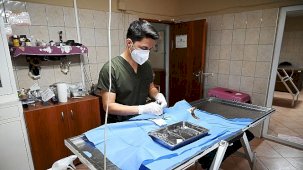 Kemer Belediyesi Sokak Hayvanları İçin Tedavi ve Rehabilitasyon Merkezinde Kasım Değerlendirmesi