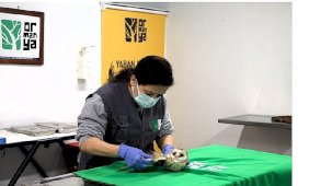 Ormanya Yaban Hayatı Kurtarma ve Rehabilitasyon Merkezi: Doğa ile İnsan Arasındaki Köprü