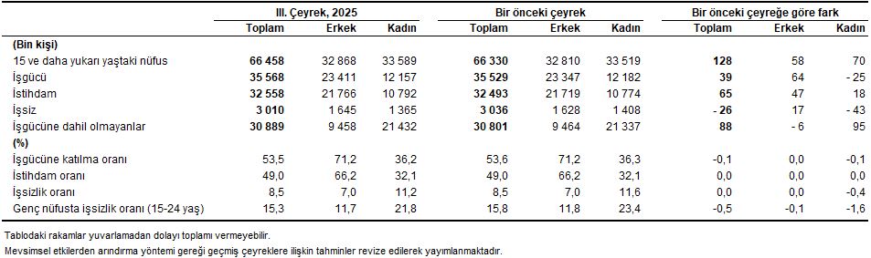 Türkiye İşgücü Göstergeleri: III. Çeyrekte Mevsimsel Düzeltmeler ve Detaylı Dağılım