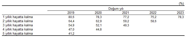 Girişimcilik ve İş Demografisi: 2024 Doğum, Ölüm ve Hayatta Kalma Göstergeleri