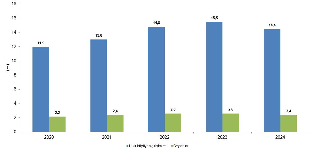 Girişimcilik ve İş Demografisi: 2024 Doğum, Ölüm ve Hayatta Kalma Göstergeleri