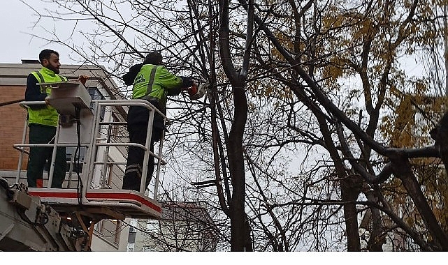 Bakırköy'de Fırtına ve Yağışa Karşı Ekipler Sahada: Ağaçlar ve Su Baskınları İçin Önlemler