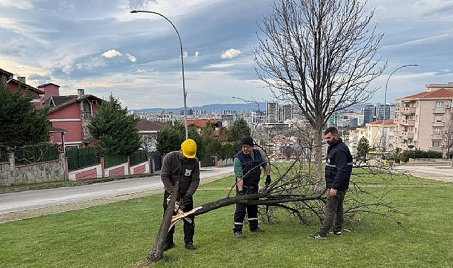 Bursa'da Şiddetli Lodos: Ağaç Diyarında Ulaşılan Hız ve Müdahale