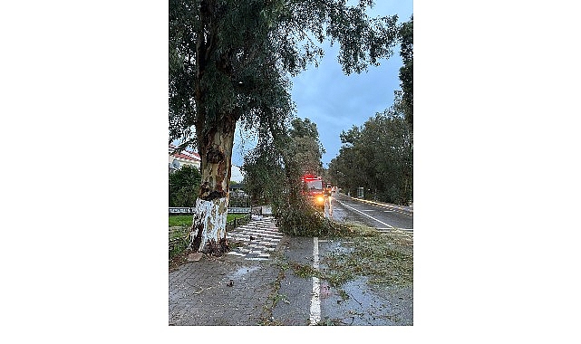 Foça’da Fırtına ve Yağışa Karşı Anında Müdahale: Ekipler 7/24 Hazır