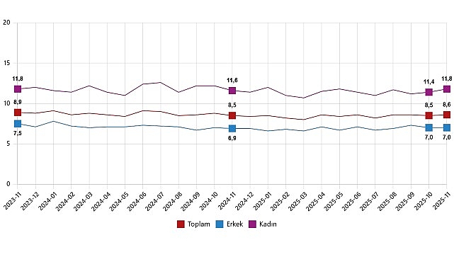 Kasım 2025 İşgücü Göstergeleri: İşsizlik ve İstihdamda Mevsimsel Düzeyler