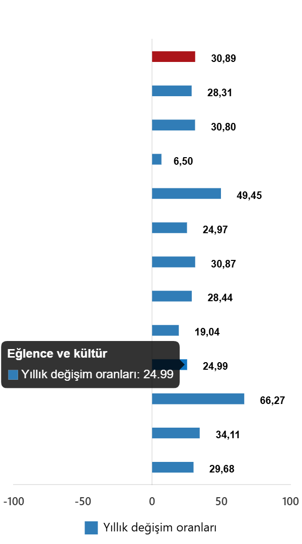TÜFE Verileri Aralık 2025: Aylık ve Yıllık Değişimlerin Kapsamlı Analizi