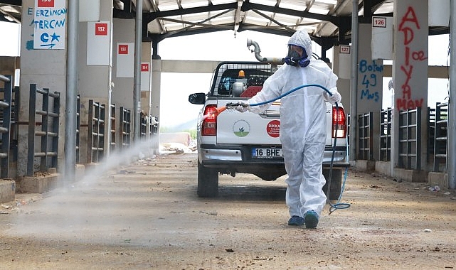 Osmangazi Belediyesi Kurban Pazarları Sonrası Temizlik ve Dezenfeksiyon Çalışmaları