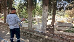 Aydın Büyükşehir Belediyesi Mezarlıklarda Bayrama Özel Temizlik ve Bakım Çalışmaları
