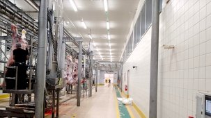 İzmit Mezbahası Bayram Kanaatinde Modern ve Hijyenik Kesim Hizmeti