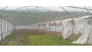 Kocaeli’de Seracılık İçin Hibeli Naylon Desteği ve Modern Sera Projesi Başlatıldı