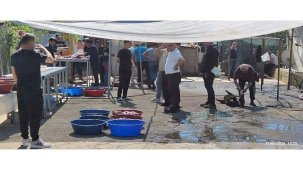 Maltepe’de Kaçak Kurban Kesimlerine Karşı Denetim Dizisi ve Hijyen Uyarıları