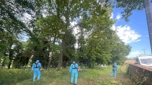 Mezarlıklarda Bayrama Hazırlık: Temizlik ve Bakım Çalışmaları Hızlandırıldı