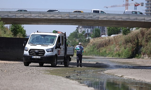 Bakırköy’de Sivrisinek ve Vektörle Mücadelede Yaz Dönemi Yoğunlığı Artırıldı