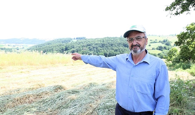 Kocaeli’de Yem Bitkisi Desteğiyle Çiftçiler Verimliliği Artırdı