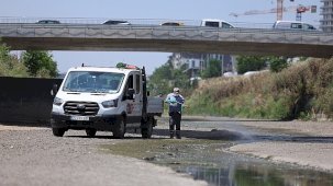 Bakırköy’de Sivrisinek ve Vektörle Mücadelede Yaz Dönemi Yoğunlığı Artırıldı