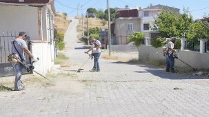 Burhaniye’de Temizlik Seferberliği: Ekipler Sahada Özveriyle Çalışıyor