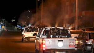 Gece ve Gündüz Mücadelesi: 17 İlçede Haşereyle Kararlı İlaçlama