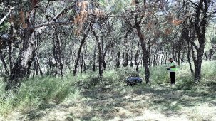 Konak Belediyesi'nin Yeni Hibrit Yabani Ot Biçme Makinesiyle Parklar Yeniledi