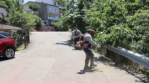 Maltepe’de Yaz Sezonuna Hazırlık: Park ve Bahçelerde Yoğun Tırpan ve Temizlik Çalışmaları