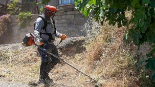 Maltepe'de Yeşil Alanlarda Yaz Dönemi Bakım ve Düzenleme Faaliyetleri Artırıldı