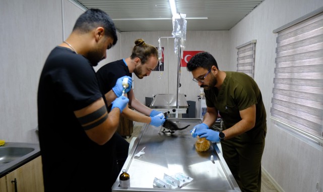 Altıeylül Belediyesi’nden Sokak Hayvanları İçin Güvenli Liman: 306 Can Dost Koruma Altında