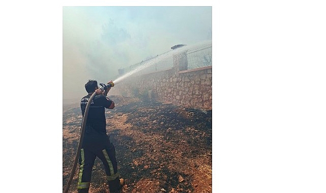 Kepez Çamlıca’da Orman Yangını: Ekipler Anında Müdahale Edip Kontrol Altına Aldı