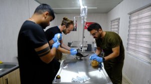 Altıeylül Belediyesi’nden Sokak Hayvanları İçin Güvenli Liman: 306 Can Dost Koruma Altında
