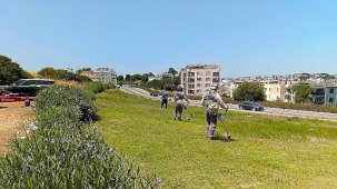 Didim’de Ot Biçme Çalışmalarıyla Kent Estetiği ve Güvenliği Artırılıyor