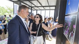 Kadifekale'de Uçurtma Şenliği ve Kadın Dayanışmasıyla Yeşeren Umutlar