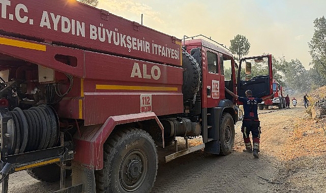 Aydın Büyükşehir Belediyesi’nin Orman Yangınına Hızlı Müdahalesi: Bölgesel Koordinasyon ve Ekip Destekleri