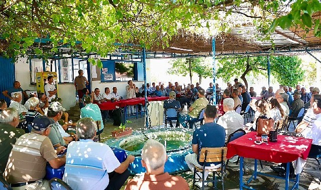 Didim'de Zeytin Üreticileri İçin Yeni Satış Alanı Kuruluyor
